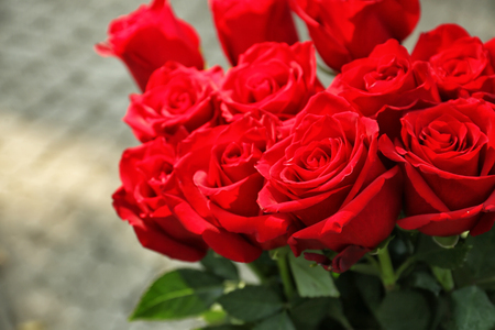 Soll ich meine Liebe mit roten Rosen gestehen?